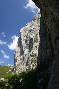 Anica16
