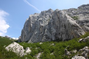 Anica18