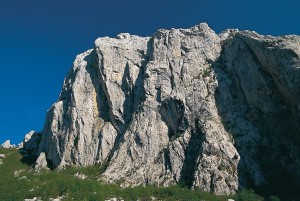 Anica21