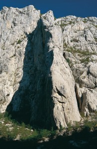 Anica25