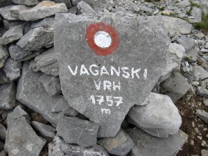 Vaganski1930